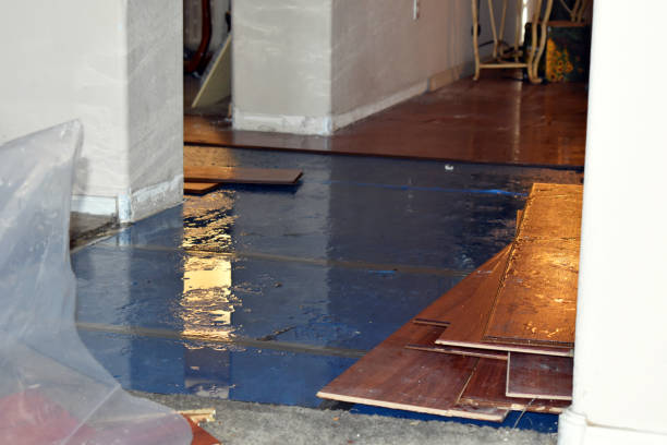 Professional Emergency Water Damage Restoration technician working in Brookville, NY